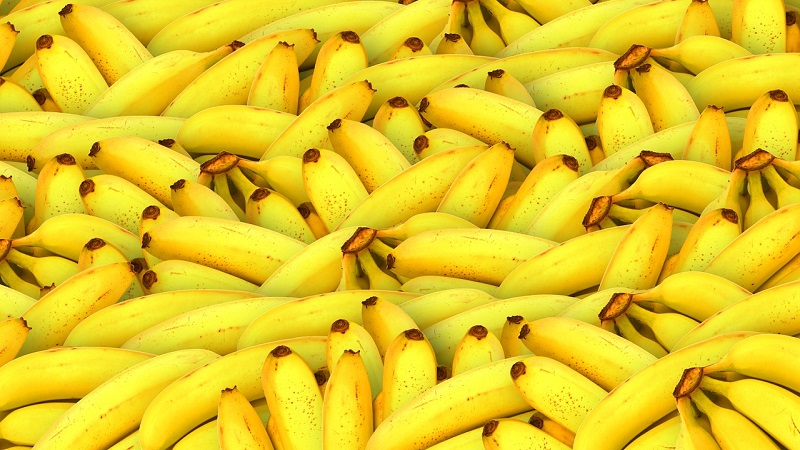 バナナ バナナが枯れる 葉が黒くなった時の原因と対処法 ガーデンブルグ